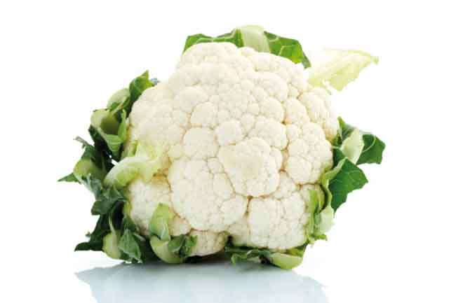 गोभी